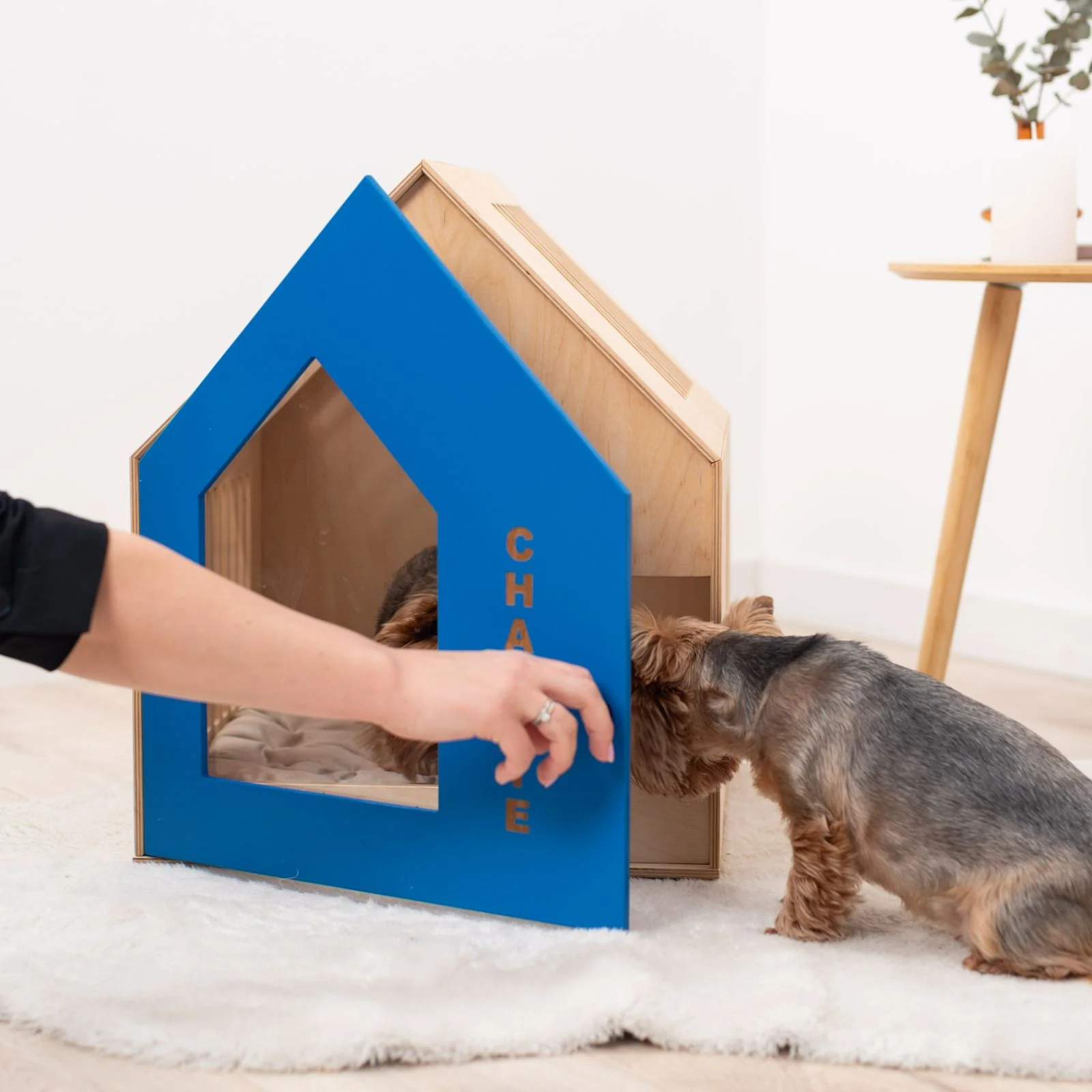 Booth-Style Wooden Dog House - Blue - Image 5