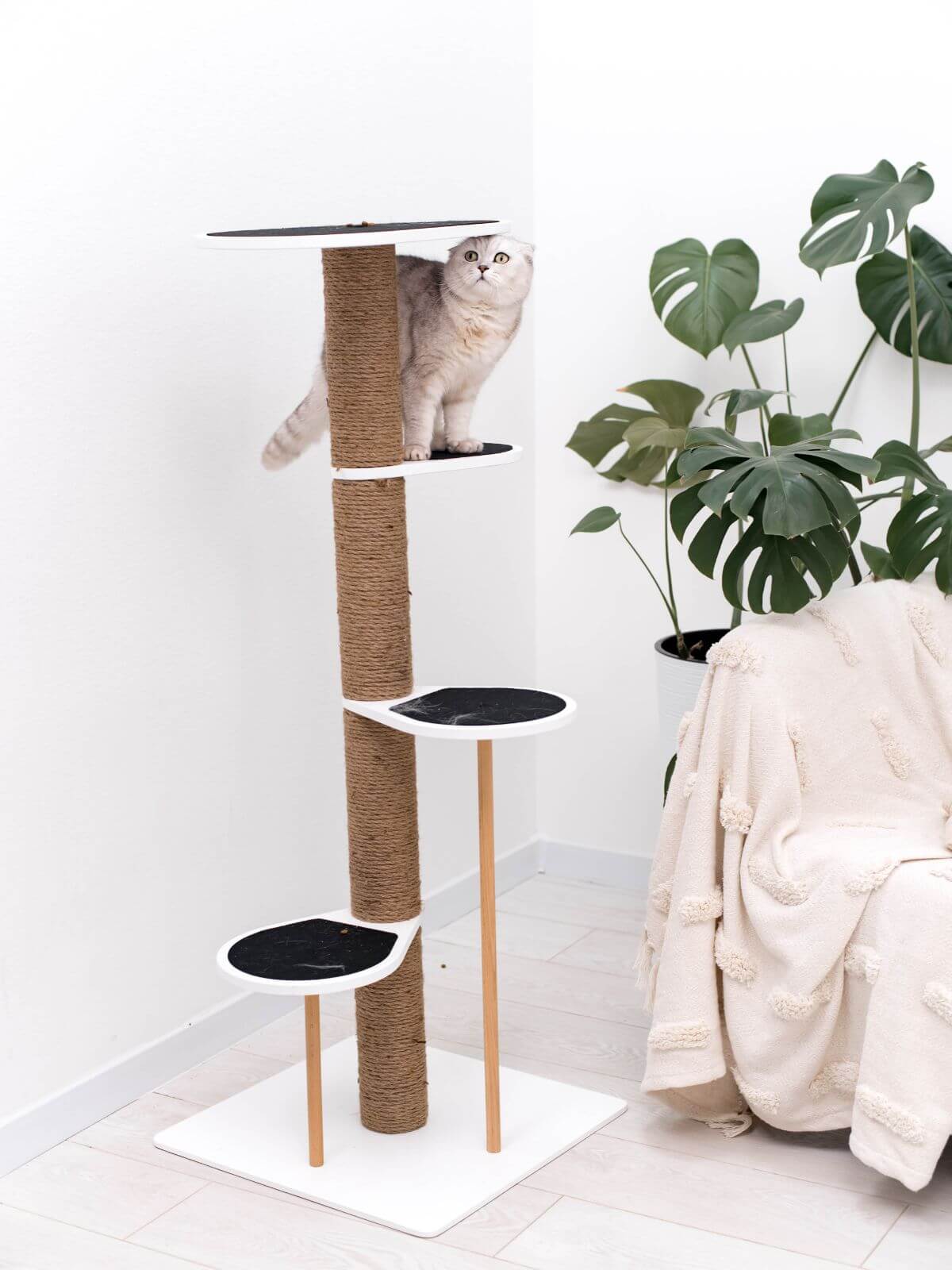 Cat Climbing Tower - Image 4