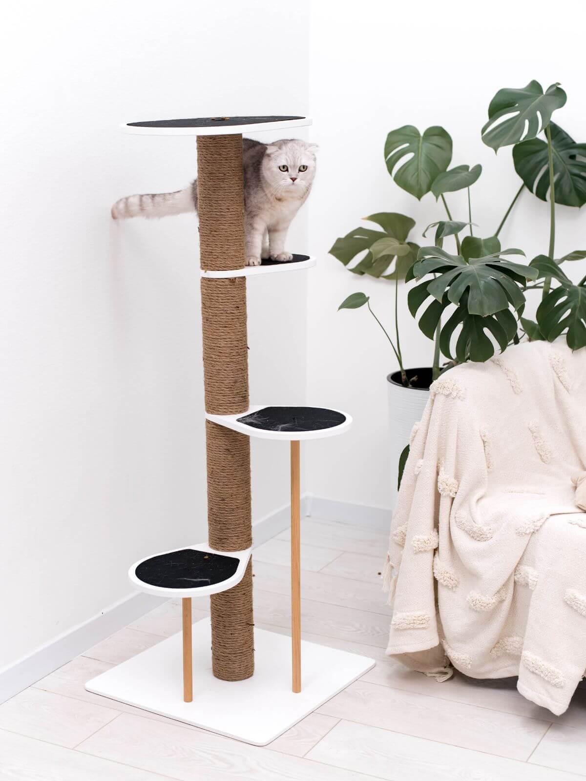 Cat Climbing Tower - Image 6