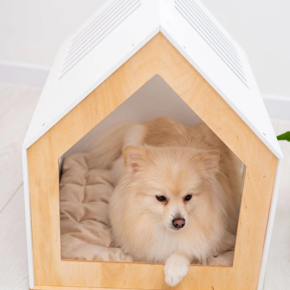 Modern Indoor Dog House - Image 6
