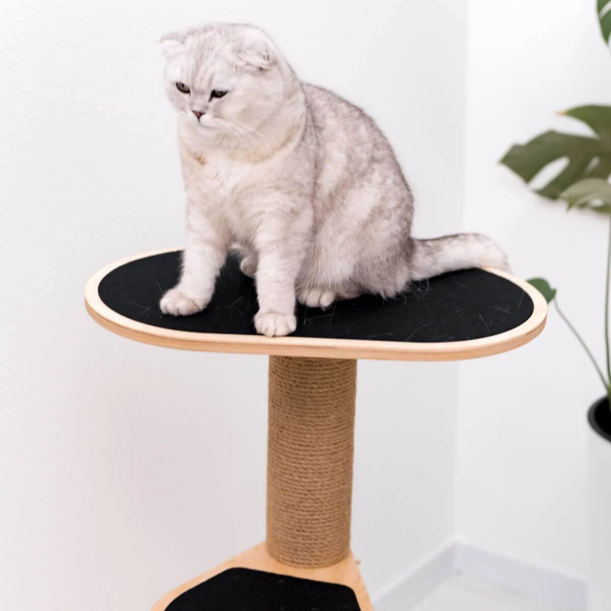 Small Cat Tower - Image 4