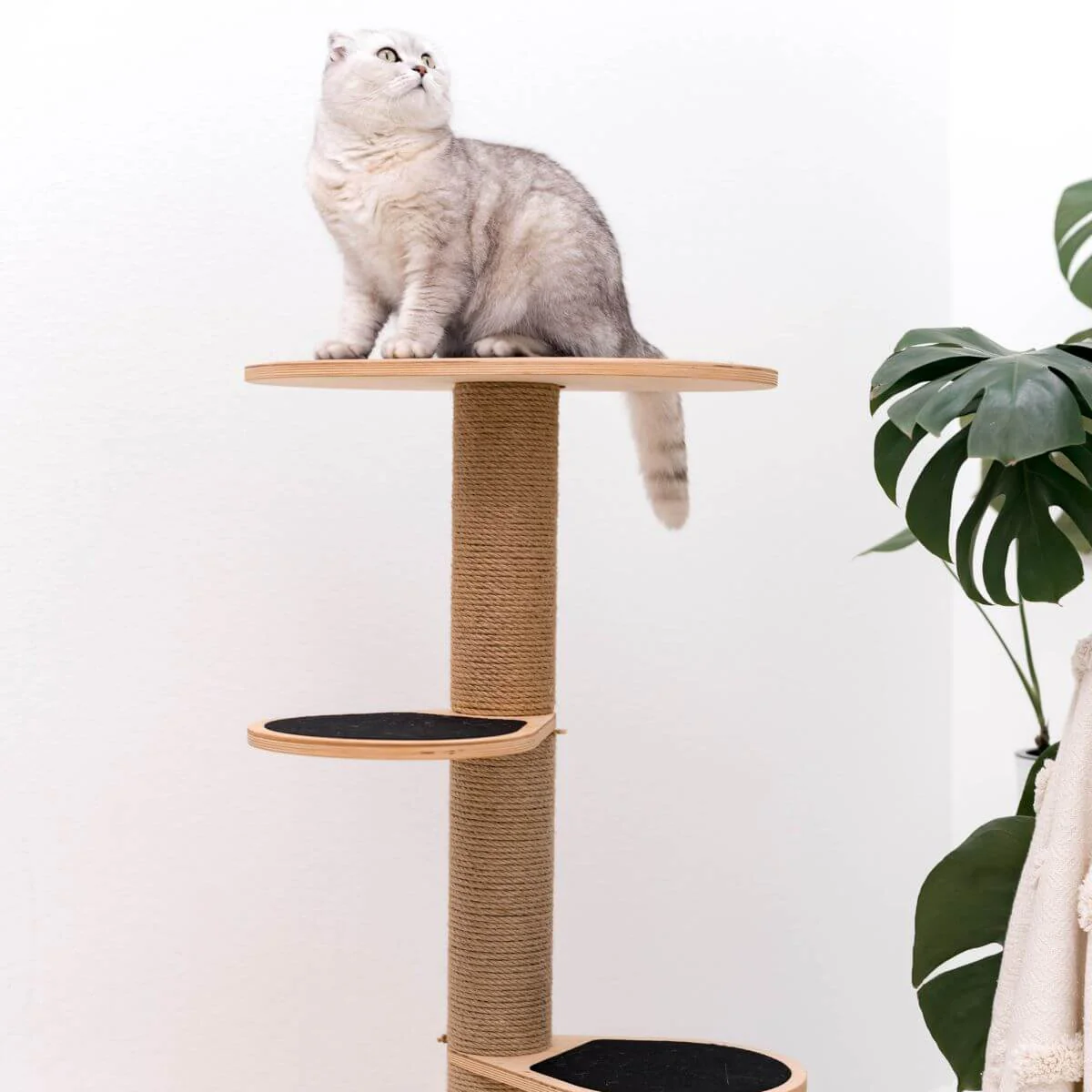 Small Cat Tower - Image 6