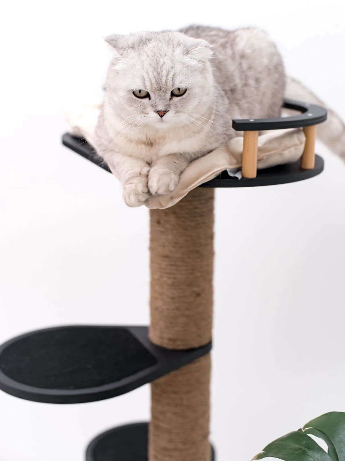 Small Cat Tree - Image 4