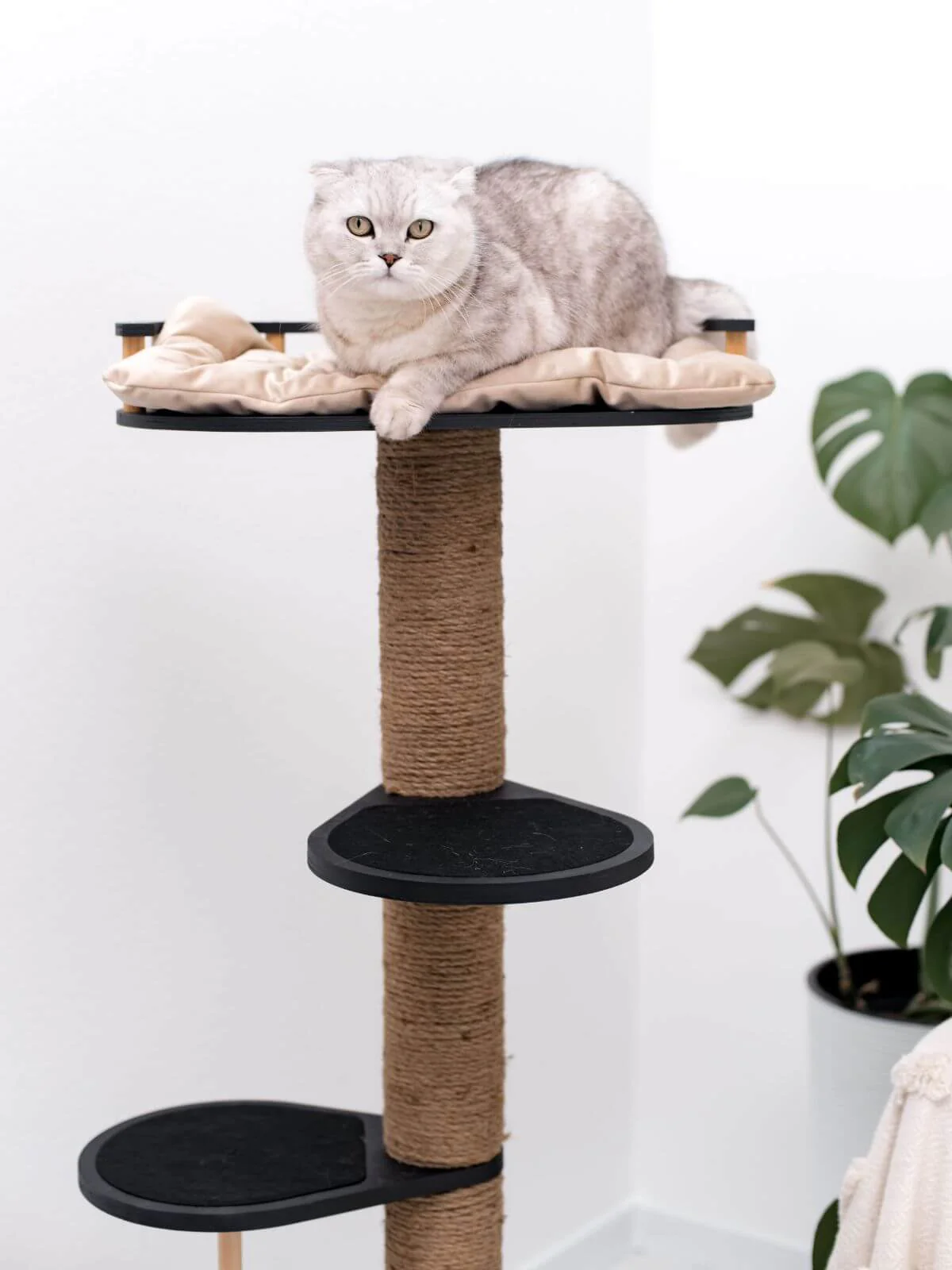 Wooden Cat Tree - Image 4