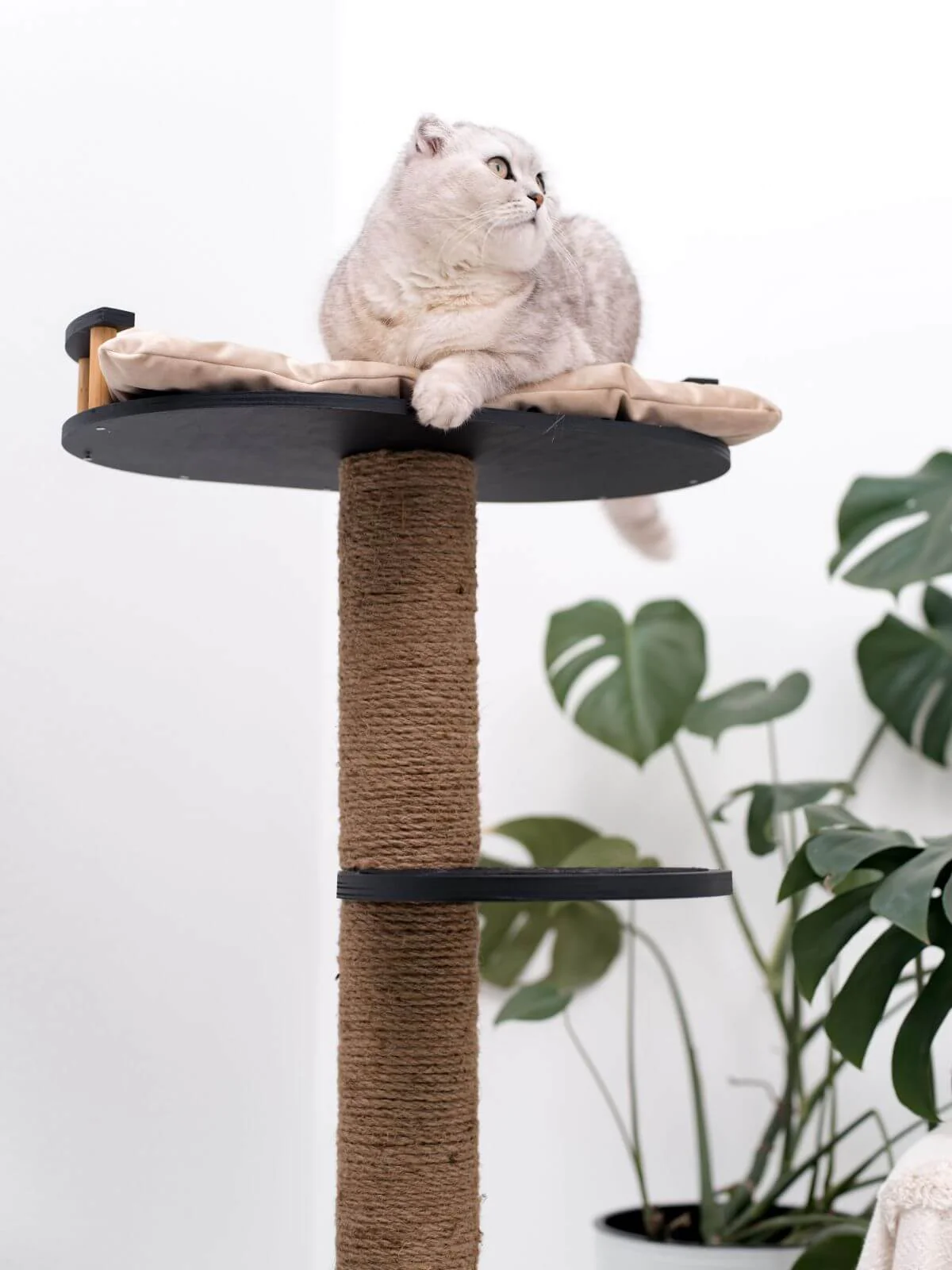 Wooden Cat Tree - Image 6